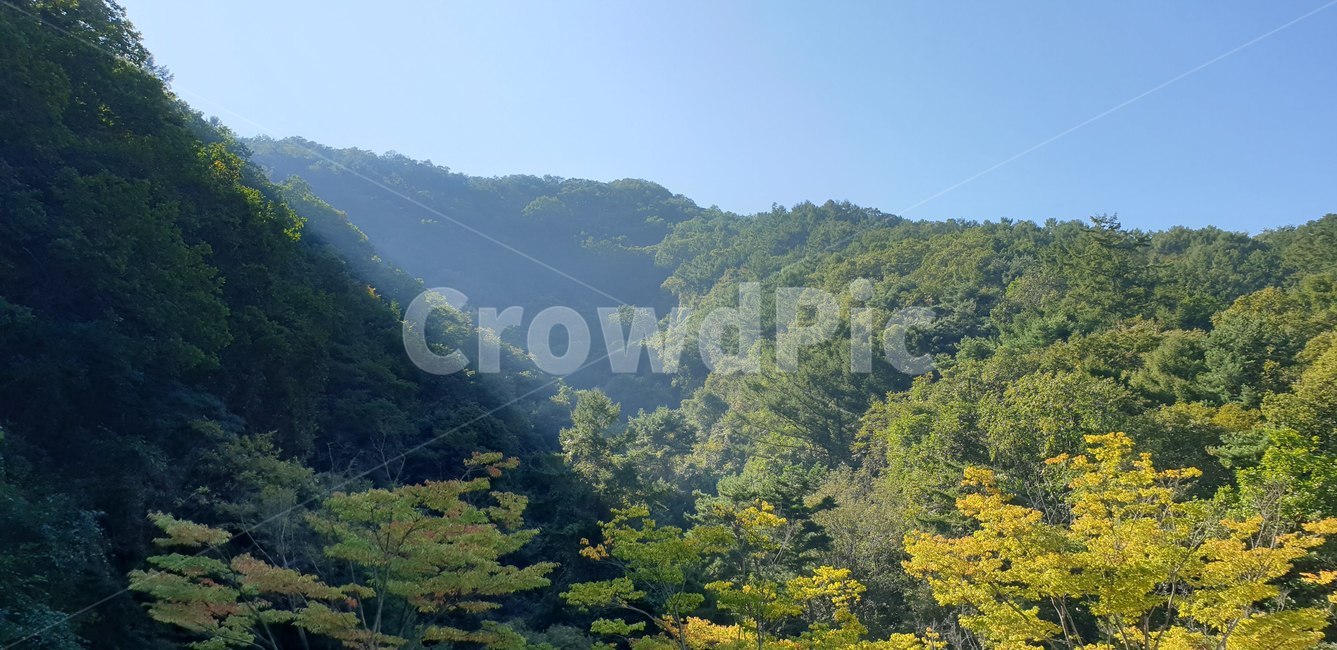 자연,산,그림자,늦여름,해,자연,풍경,nature,landscape,outdoors,옥외