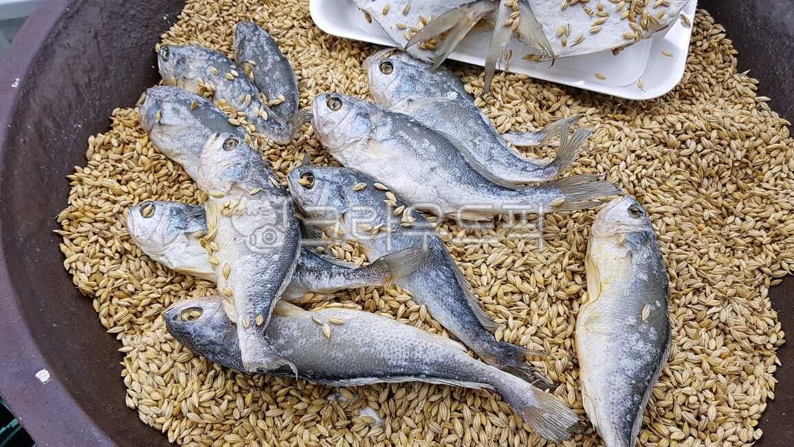 굴비, 생선, 보리굴비, 조기, fish, 사진,이미지,일러스트,캘리그라피 - 로사작가