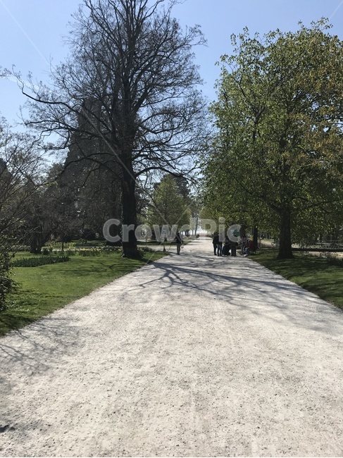 스위스,평화로움,자연,공원,나무,switzerland,piecefull,nature,park,tree,통로,path,자연,풍경,nature,landscape