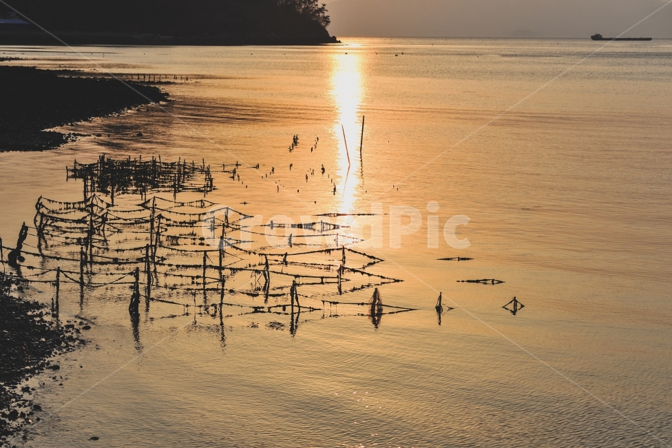 풍경,노을,바다,황금빛,감성,해변,스냅,자연,풍경,nature,landscape,감성,sensible,feeling,land,땅,outdoors,옥외,water,물