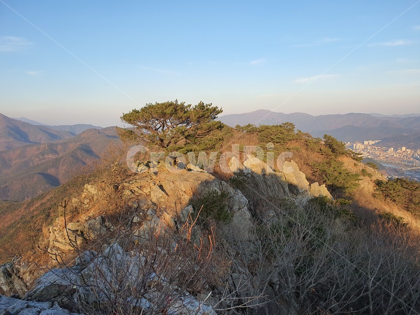 자연,등산,풍경,도시,오봉산,양산,경치,명산