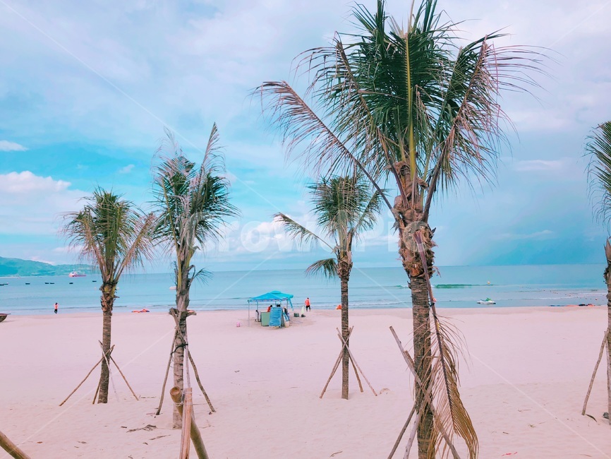 야자수,동남아시아,해변,나무,풍경,맑은날,베트남해변,mykhebeach,여름,휴양지,휴양,열대,해외,외국,휴식,방학,관광지,바닷가,바다,수평선,하늘,평화로운,편안한,힐링,치유,여유,자연,nature,계절,summer,season,beach,sea,vacation,rest,relaxation,healing