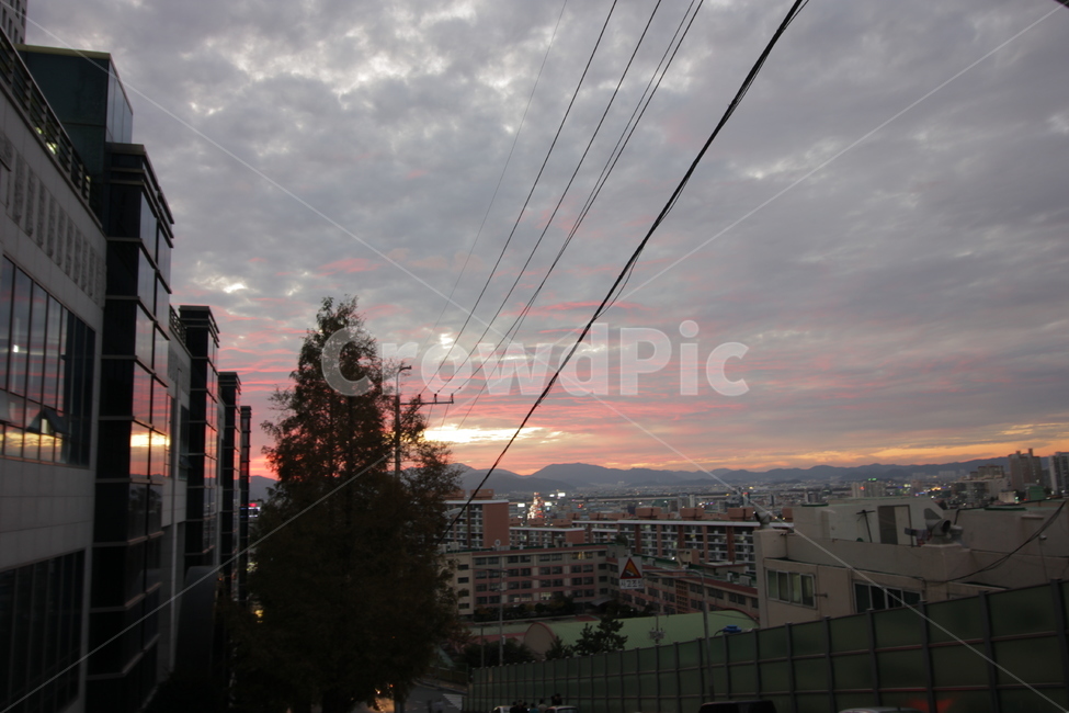 cable,케이블,sky,구름,석양,sunset,나무,건물,tree,building,apartment,도시,풍경,city,landscape