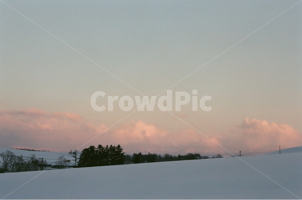 겨울,홋카이도,비에이,눈의왕국,필름사진,감성사진,겨울,계절,winter,season,자연,풍경,nature,landscape,해외,외국,세계,foreign,oversea,world,세계자연풍경,해외자연풍경,외국자연풍경,world nature landscape,감성,sensible,feeling,outdoors,옥외,tree,나무,plant,식물