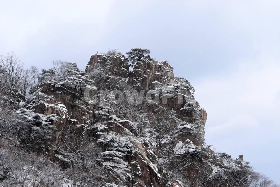 설경,풍경,대둔산,눈꽃,삼선계단,자연,nature,landscape,겨울,계절,winter,season,탐방,도립공원,힐링,감성,정취,산세,명산,100대명산,산,등산,트레킹,풍경사진,비경,경치,겨울사진,겨울색채,경관,기암,암봉우리,mountain,금산,완주,논산,마천대,케이블카,구름다리,fall,autumn,한국자연풍경,한국자연경관,korea,겨울,계절,winter,season,자연,풍경,nature,landscape,outdoors,옥외