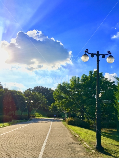 올림픽공원,산책로,가로등,낮,맑음,산책,olympicpark,seoul,서울,walkway,walk,streetlamp,afternoon,sunny,picnic,공원,park,자연,풍경,nature,landscape,road,도로