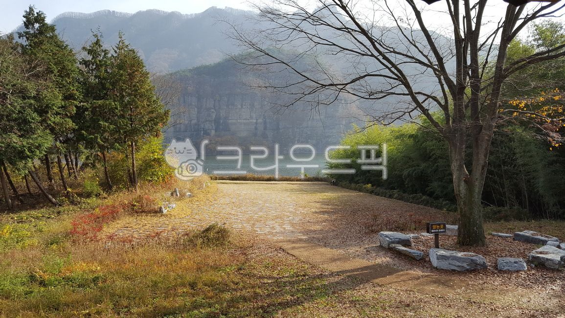 나무, 산, 흙길, 마당, 식물, 사진,이미지,일러스트,캘리그라피 - 달을품은태양작가