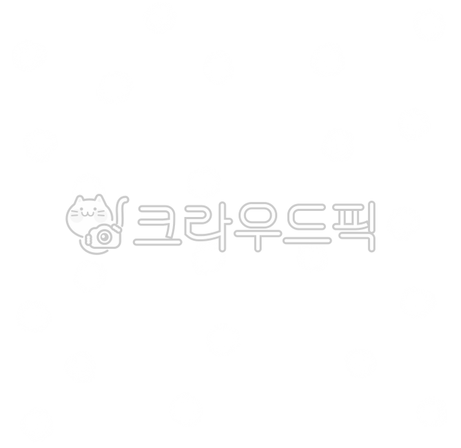 내리는눈,눈내리는,겨울,겨울눈,내리는눈디자인,함박눈,눈내리는모양,눈일러스트,눈그림,내리는눈일러스트,눈보라