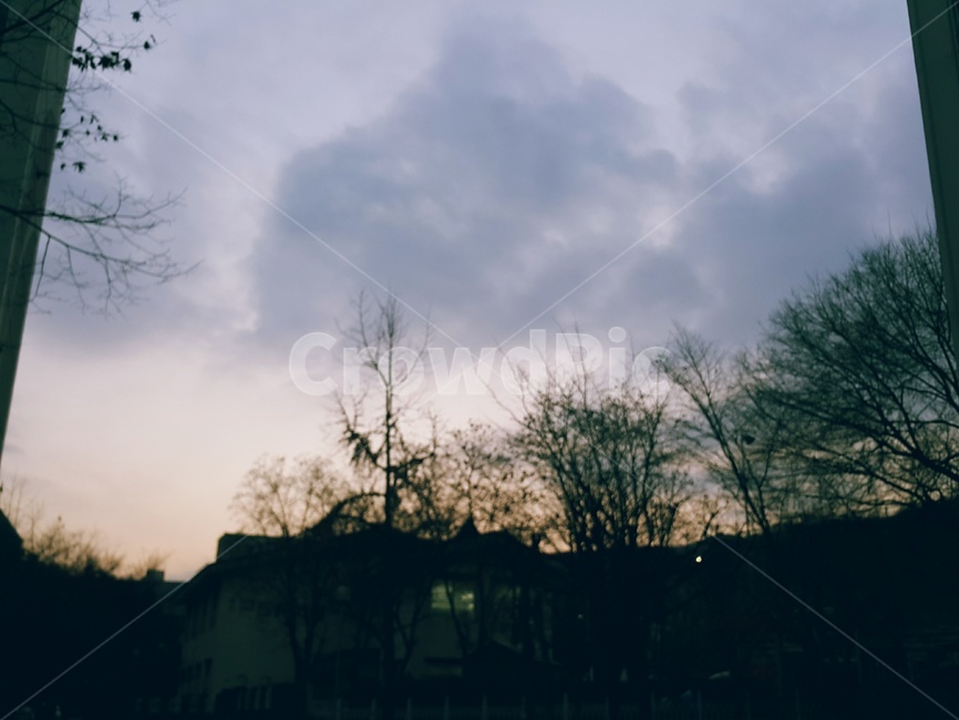 몽환적,분위기,외로움,쓸쓸함,하늘,자연,풍경,nature,landscape