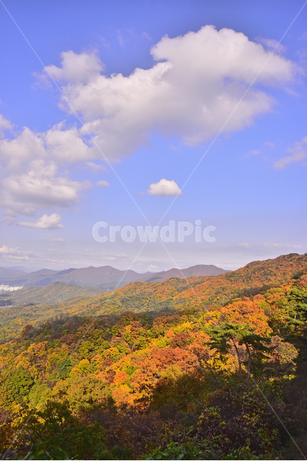가을,가을풍경,한국자연경관,한국자연풍경,자연,가을배경,fall,autumn,season,가을단풍,nature,outdoors,옥외,산맥,mountain,mountainrange,소나무,가을숲,배경,바탕,백그라운드,background,시즌,계절,골짜기,가을분위기,forest,찬란한,형형색색,칼라풀,colorful,산,능선,뭉게구름,청명한,맑은날,힐링,healing,봉우리,가을산,가을,계절,fall,autumn,season,자연,풍경,nature,landscape,mountain range