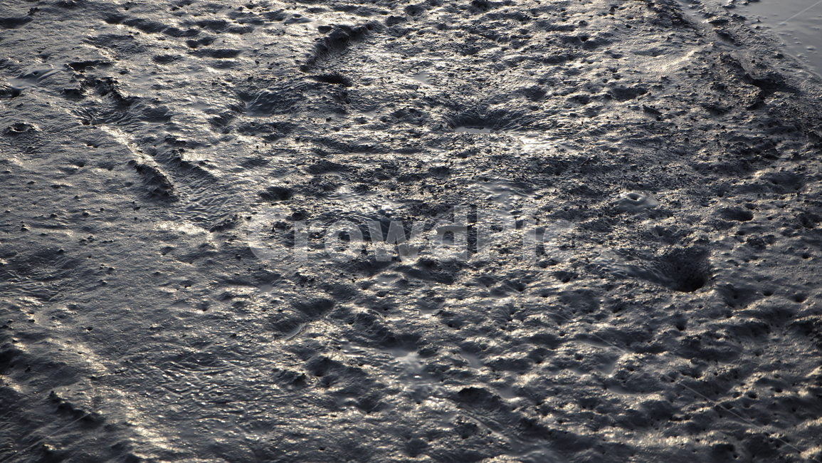갯벌,nature,mudflat,자연,mud,머드,자연,풍경,nature,landscape