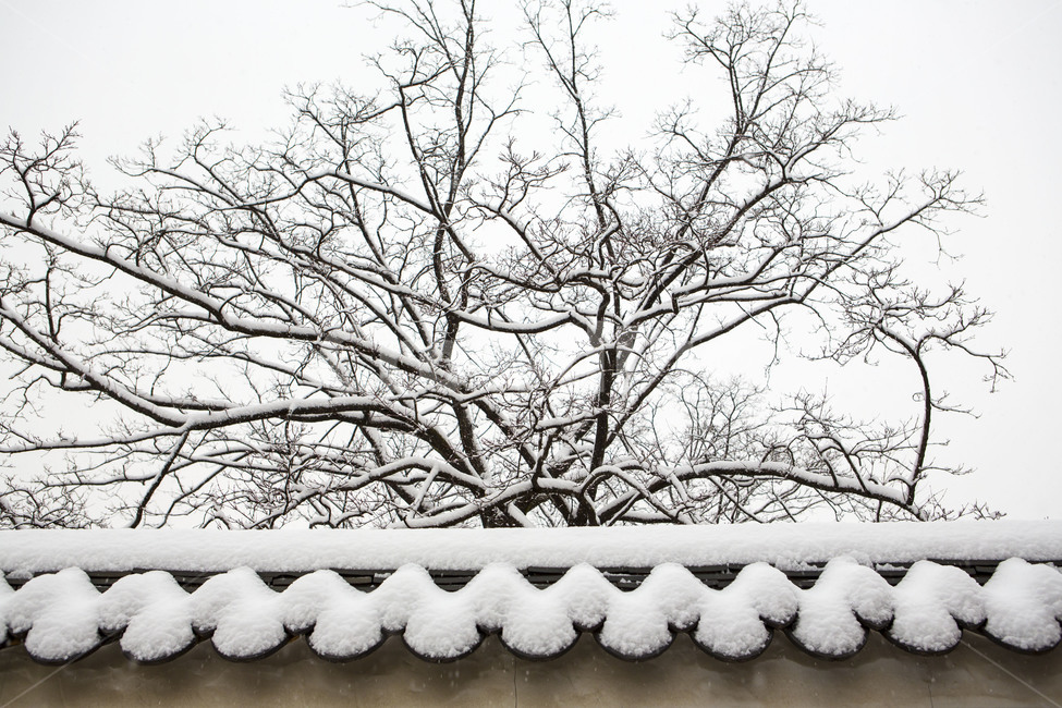 담벼락,돌담길,설경,눈꽃,풍경,겨울,계절,winter,season,한국전통,한국문화,korean traditional,korean culture,식물,자연,plants,nature,나무,trees,wood,건축물,건물외관,exterior,building,structure,architecture,construction