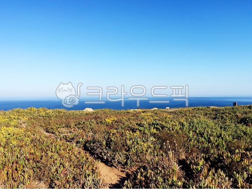 포르투갈,호카곶,대서양,수평선,하늘,절벽,낭떠러지,자연,바다,portugal,caperoca,horizon,cliff,nature,atlantic,곶,promontory,sea,초목,vegetation