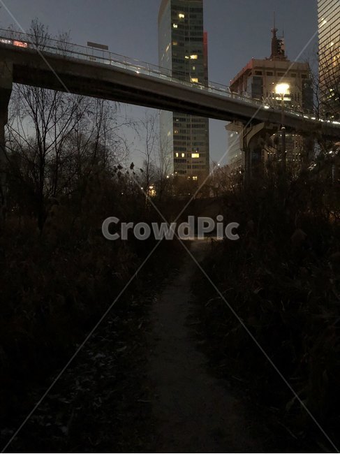 서울,한강공원,여의도,한강,공원,여의도한강공원,sky,park,evening,sunset,hangangpark,야경,밤,풍경,nightscape,night,landscape,건축물,건물외관,exterior,building,structure,architecture,construction,road,도로,bridge,다리,건물
