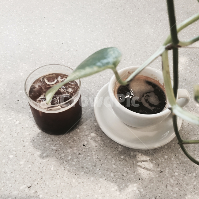 커피,카페,coffee,cafe,americano,coffeecup,음식,음료,beverage,green,hotcoffee,icedcoffee