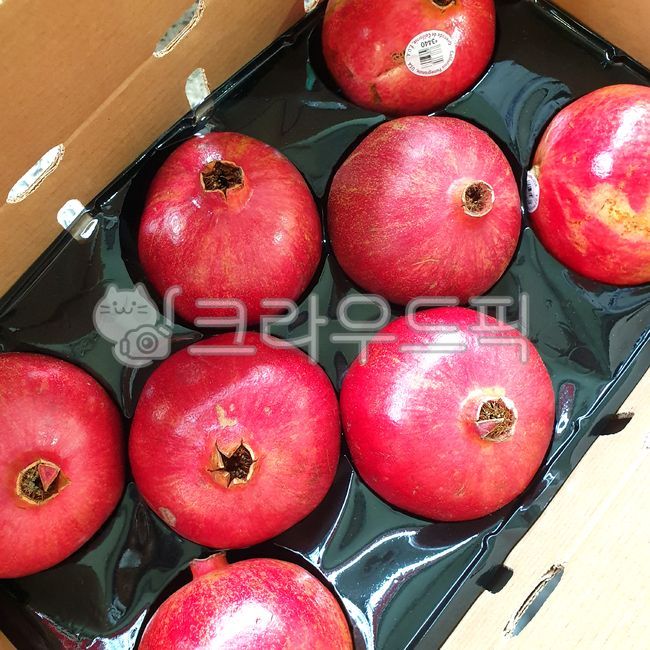 과일,석류,fruit,음식,food