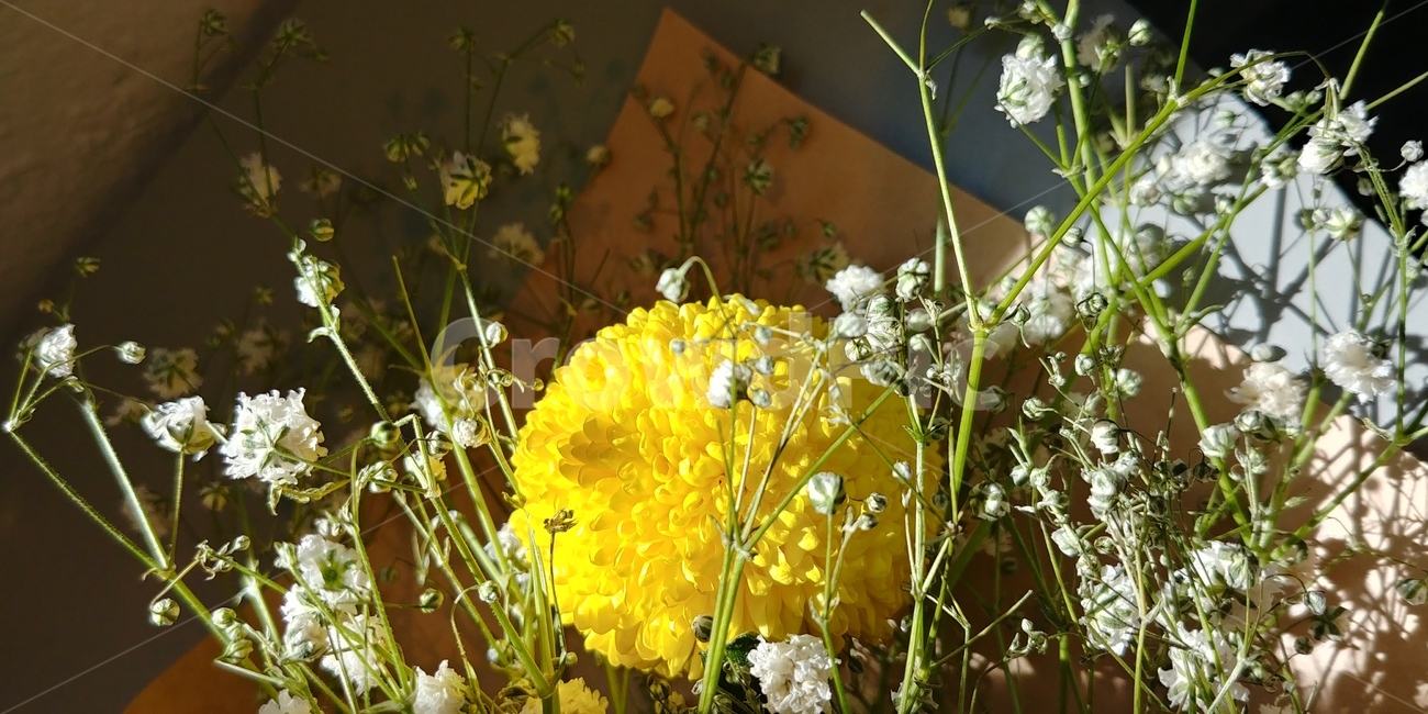 꽃,꽃다발,안개꽃,노란꽃,flower,축하,기쁨