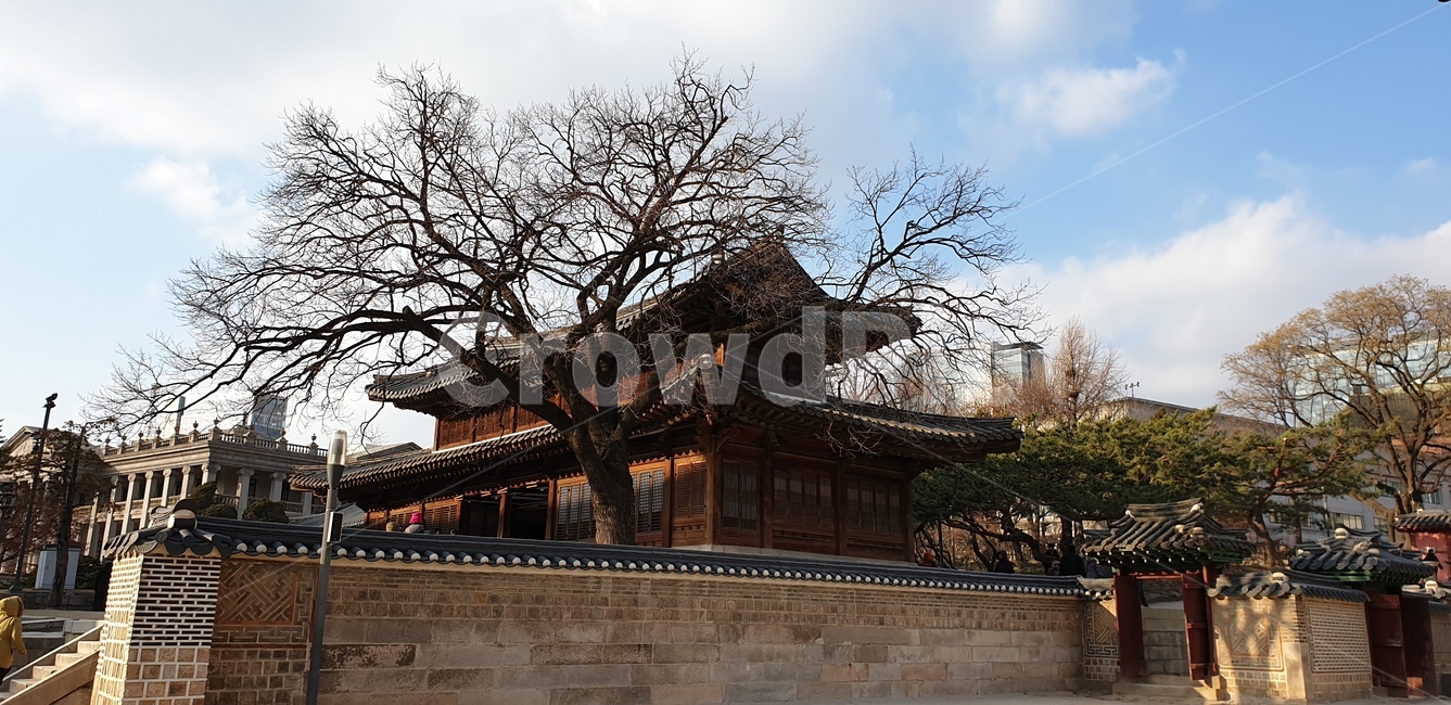 덕수궁,한국,궁,하늘,기와,색감,여름,구름,건축,한옥,역사,지붕,돌담,나무,동양,서울