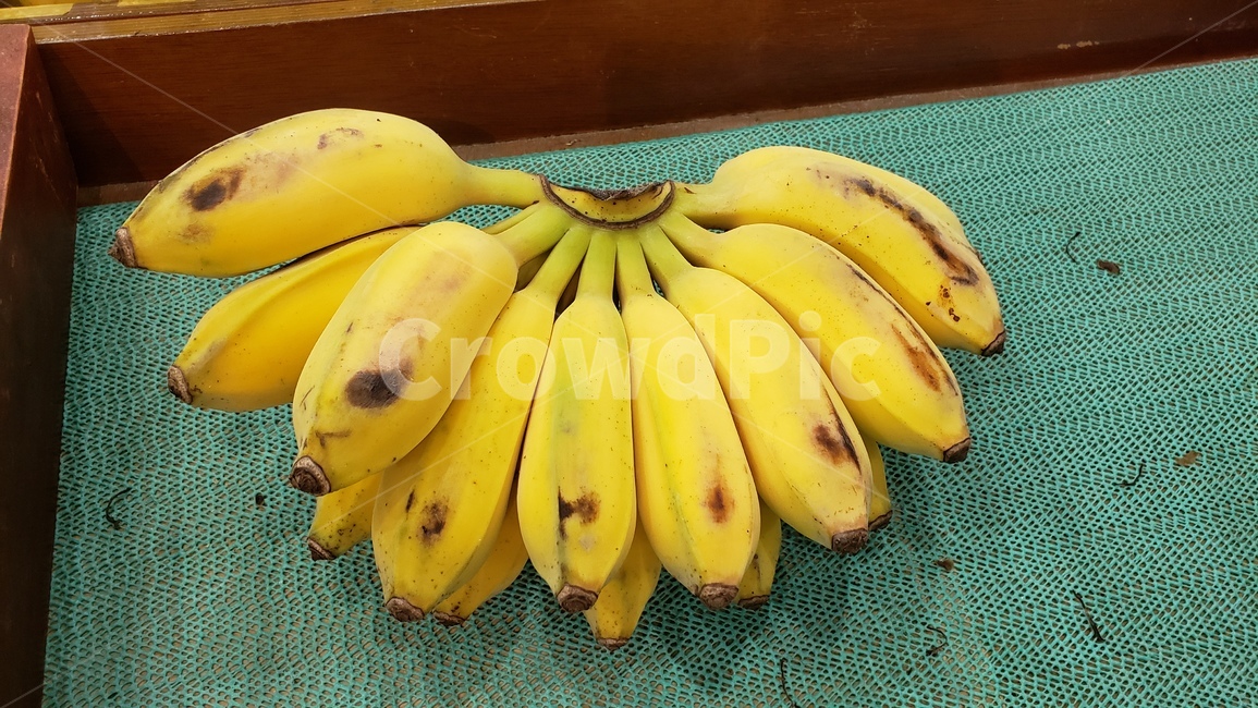 바나나,노란색,미니바나나,미니,banana,노랑색,minibanana