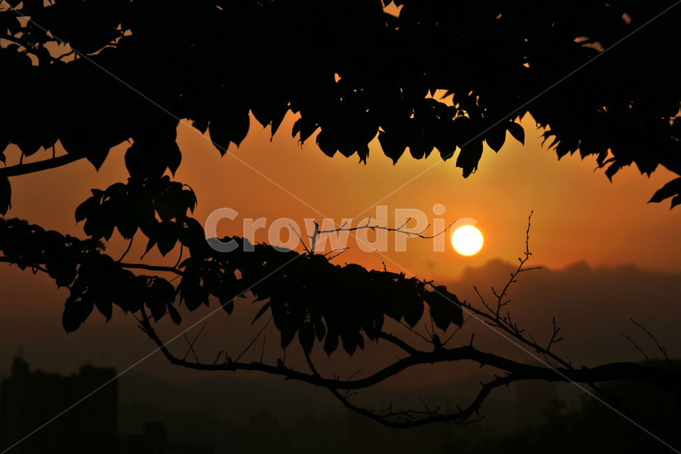 일몰,석양,해넘이,안개,지는해,붉은해,자연,풍경,nature,landscape,실루엣,그림자,silhouette,shadow,outdoors,옥외,sunlight,햇빛