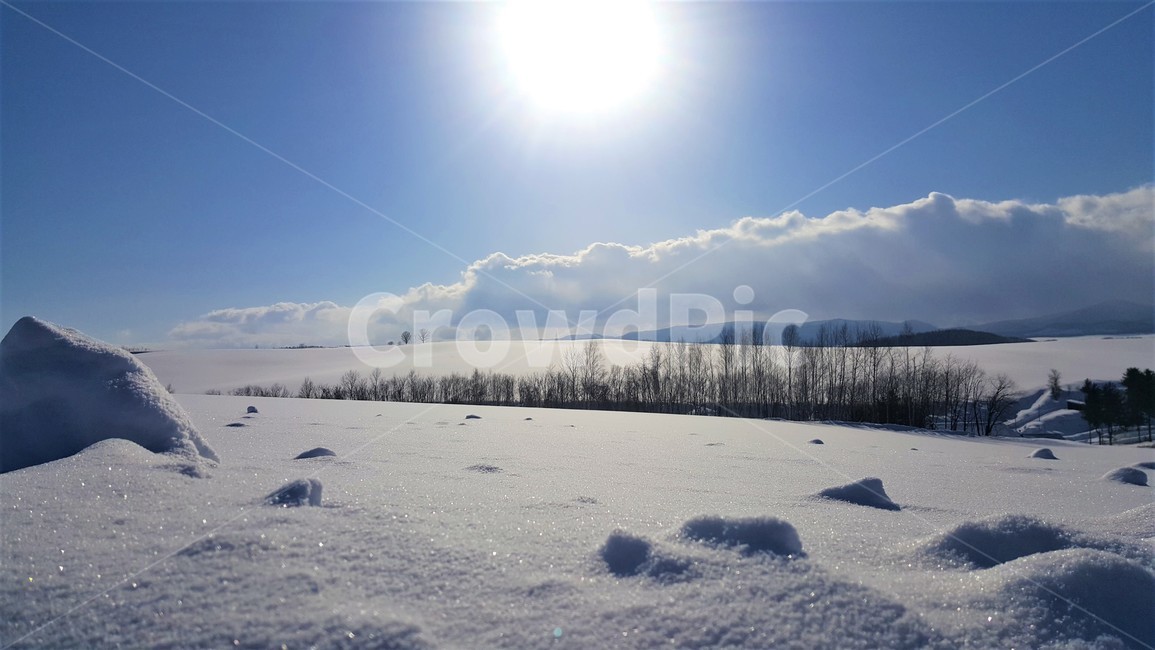햇빛,눈,반짝이는,구름,아름다운,하늘,일본,비에이,열정적인,겨울,winter,snow,sky,japan,glittering,소금,햇볕,나무,tree,겨울,계절,winter,season,자연,풍경,nature,landscape,해외,외국,세계,foreign,oversea,world,세계자연풍경,해외자연풍경,외국자연풍경,world nature landscape