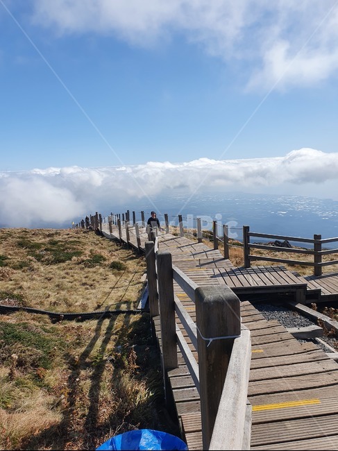 제주,제주도,jeju,한라산,산,하늘,구름