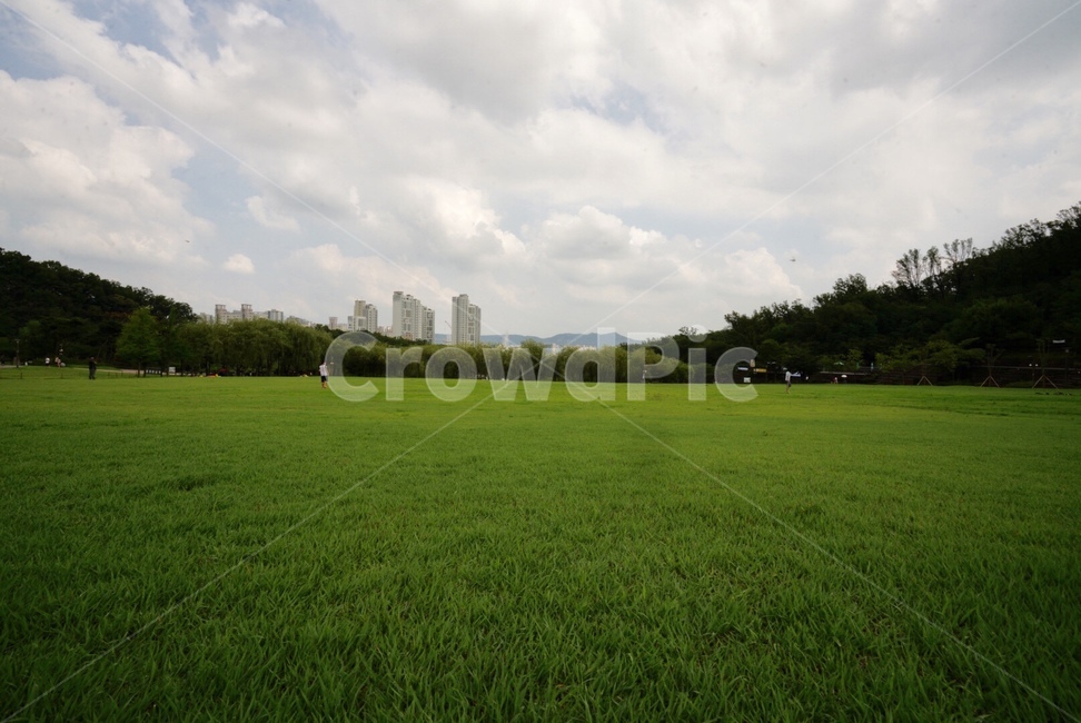 초록색,잔디,들판,자연,여름,풍경,green,plants,summer,nature