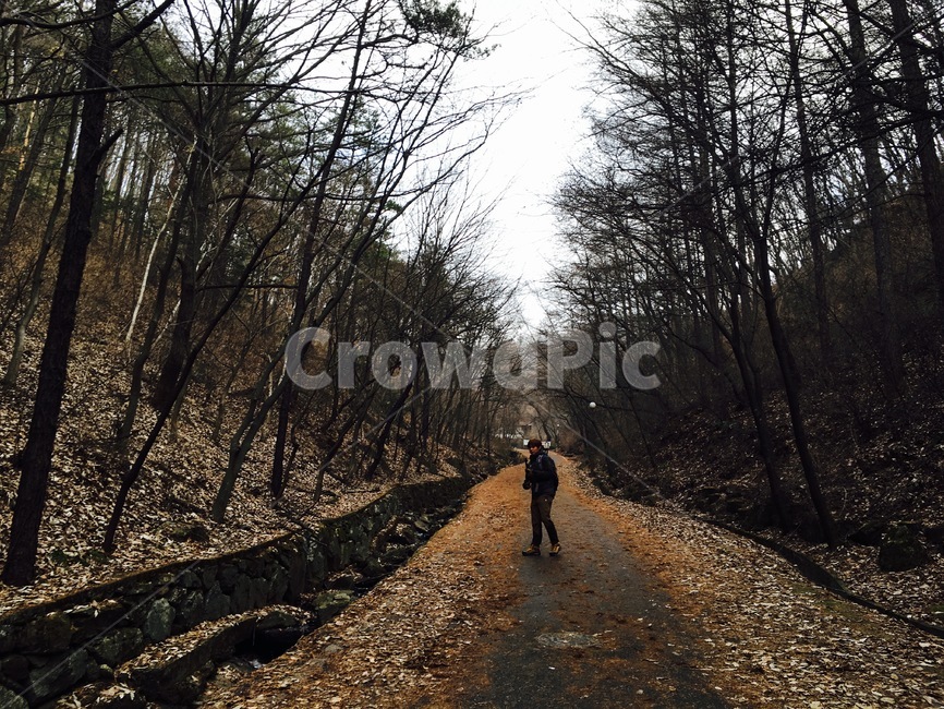 산,나무,등산,운동,mountain,tree,hiking,사람,인물,인간,human,person,남성,남자,man,male