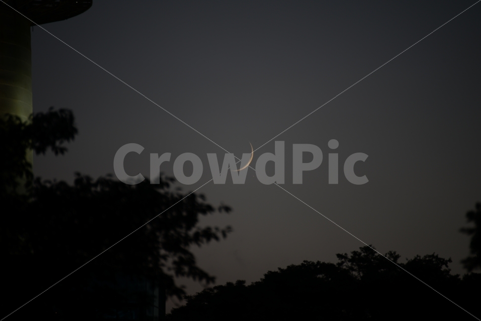 감성,분위기,손톱달,달,남산,서울,저녁,아름다움,자연,풍경,nature,landscape,야경,밤,nightscape,night,outdoors,옥외