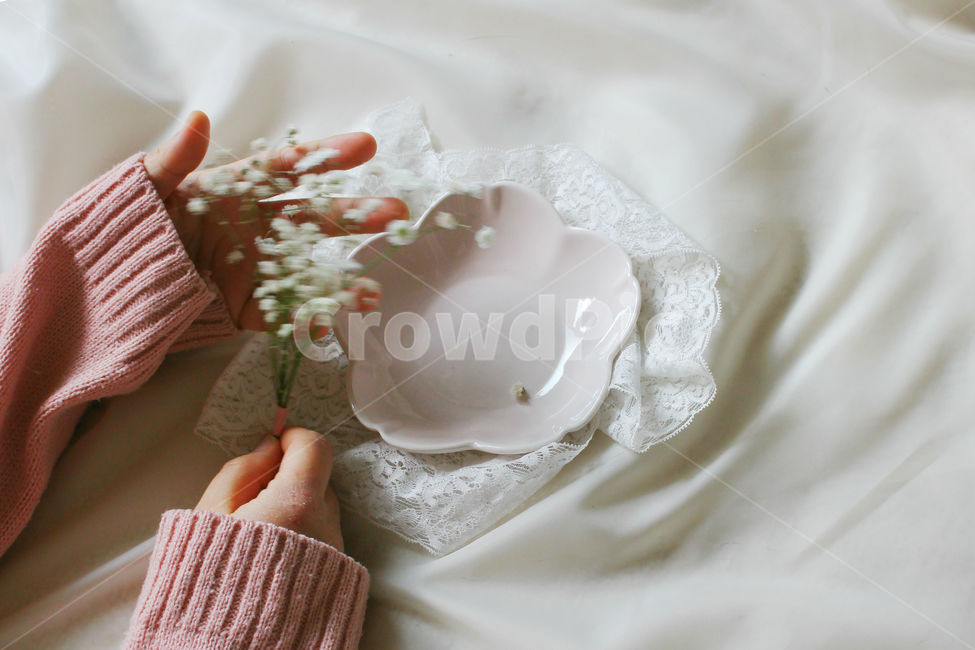 손,꽃,안개꽃,분홍,감성사진,그릇,분홍색,하얀색,pink,white,flower,flowers,레이스,접시,hand,꽃,flower,사람,인물,인간,human,person,신체일부,몸,body,연출,컨셉,콘셉,direction,concept