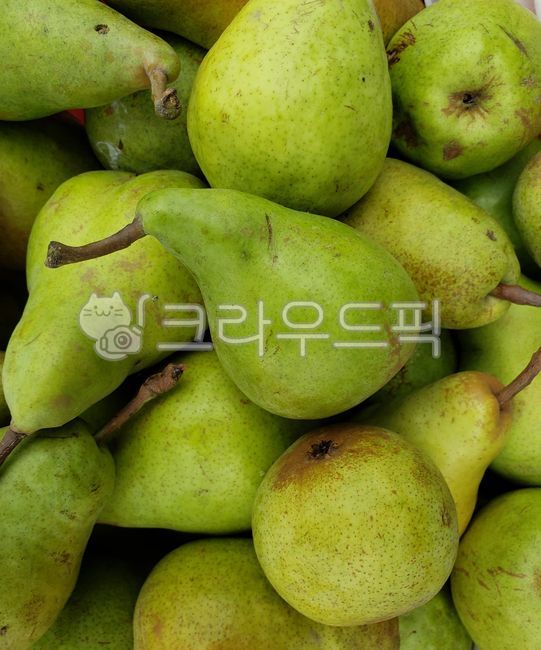 배, 서양배, fruit, 과일, food, 사진,이미지,일러스트,캘리그라피 - JHSARAH작가