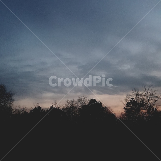 nature,자연,outdoors,옥외,하늘,구름,나무,노을