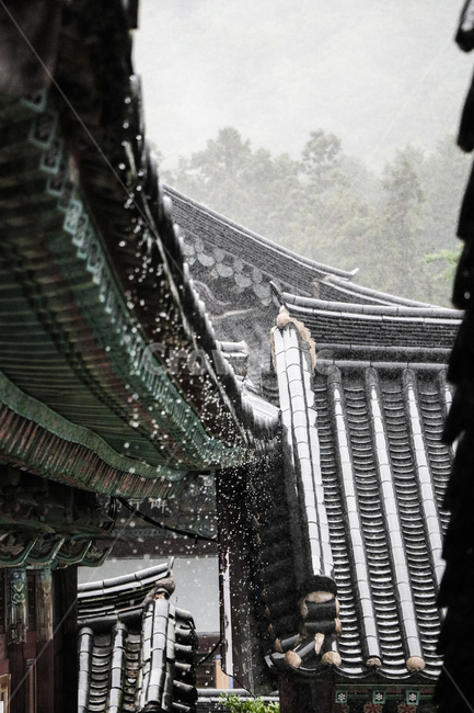 절,사찰,비오는날,비,흐림,날씨,한국전통,한국문화,korean traditional,korean culture,비,비오는날,rain,rainy