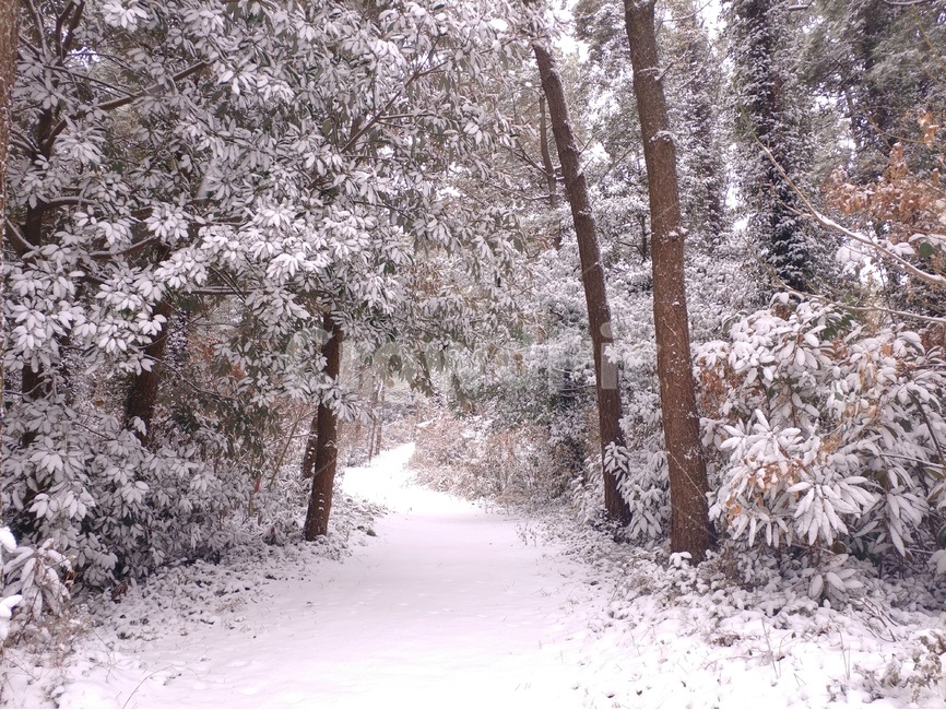 눈,겨울,풍경,감성,제주,제주풍경,하늘,구름,자연,바다,파도,겨울,계절,winter,season,자연,풍경,nature,landscape,tree,나무,plant,식물,outdoors,옥외