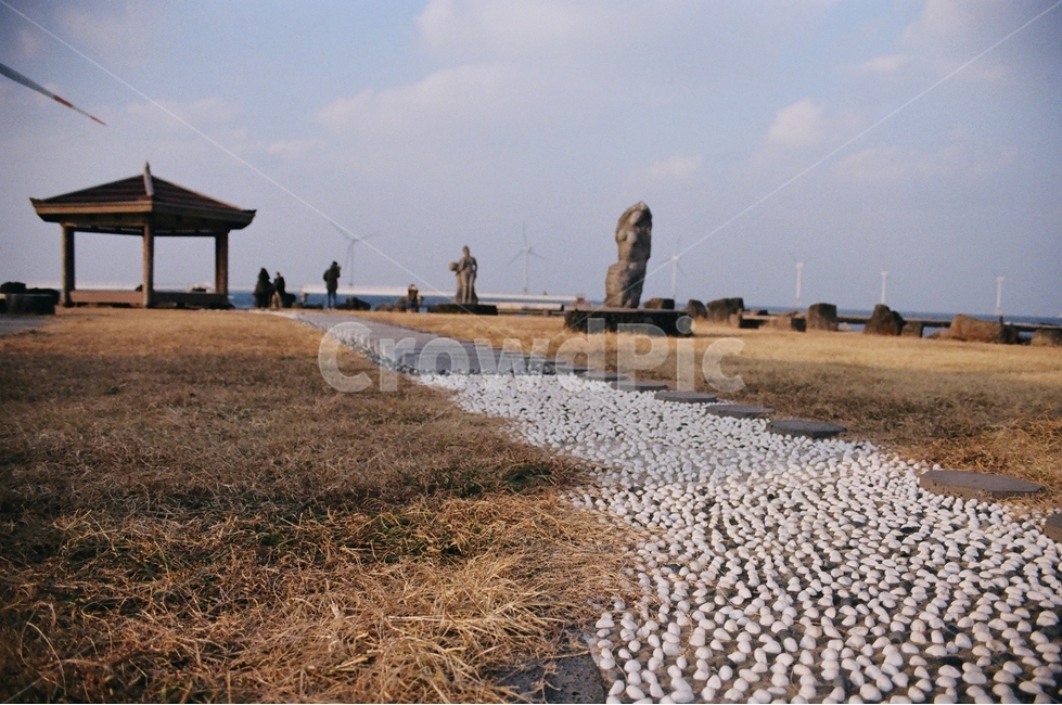 공원,제주도,자갈길,필름카메라,풍경,필카,자연,풍경,nature,landscape