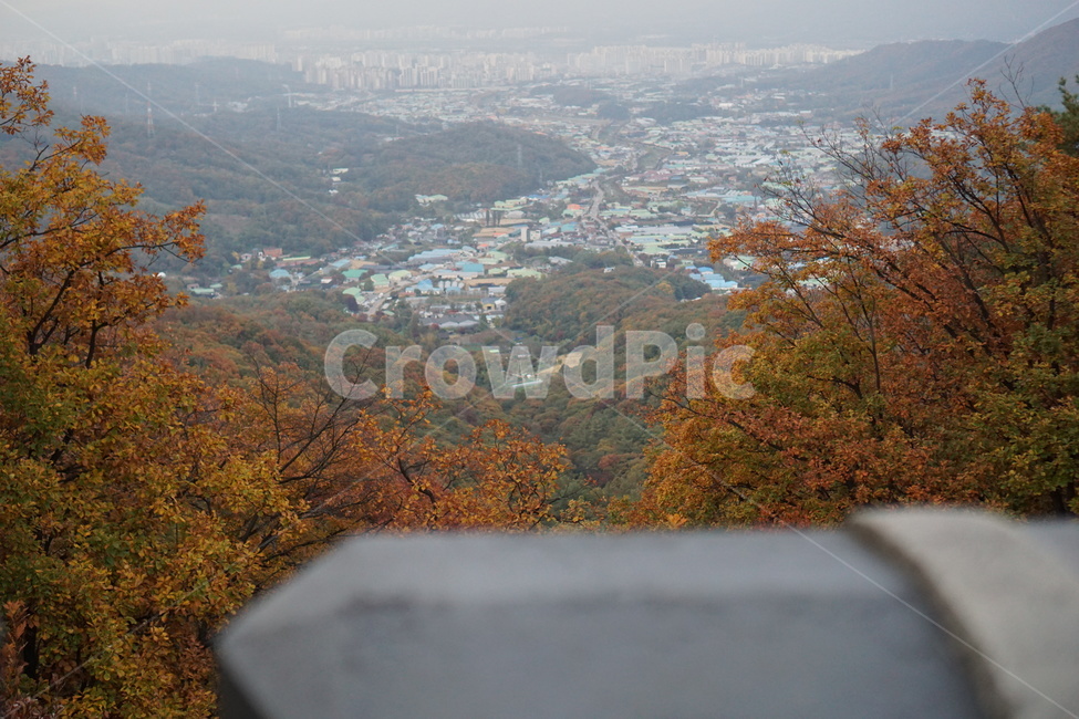 가을산,단풍,낙엽,나무,가을,남한산성,산성,가을,계절,fall,autumn,season,자연,풍경,nature,landscape,outdoors,옥외,scenery,경치,aerial view,조감도