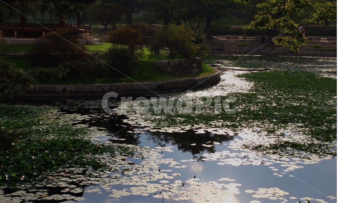 창덕궁,창경궁,경복궁,호수,가옥,자연,풍경,nature,landscape,water,물,ditch,도랑,outdoors,옥외