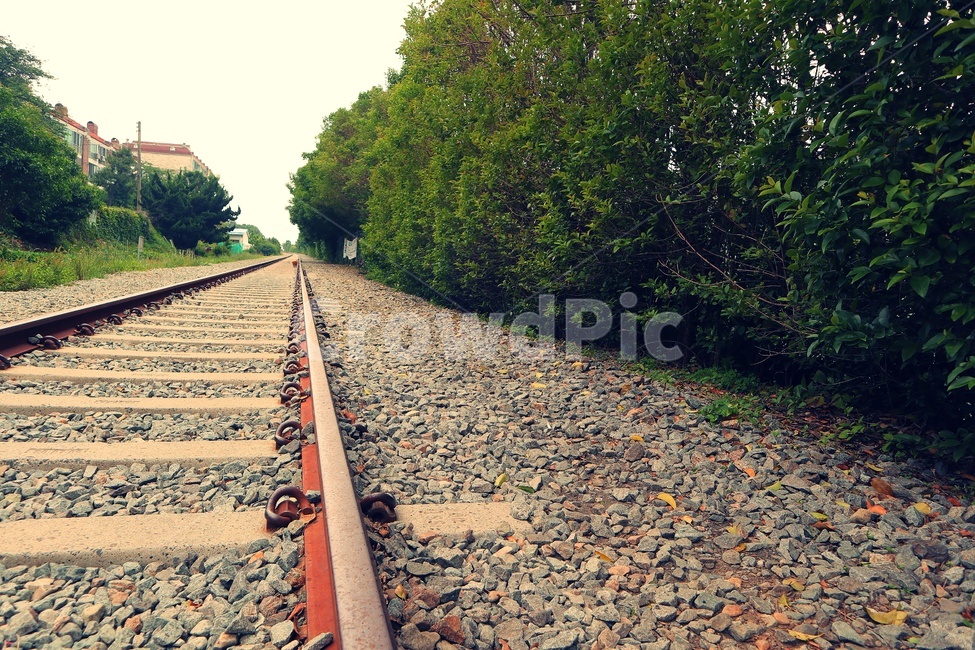 transportation,교통,rail,레일,traintrack,기찻길,railway,철도,road,도로,dirtroad,흙길,gravel,자갈,교통,교통수단,traffic,transportation