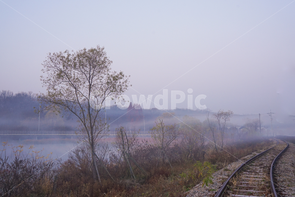 호수,안개,가을,물안개,여명,새벽,가을,계절,fall,autumn,season,자연,풍경,nature,landscape,교통,교통수단,traffic,transportation,train track,기찻길,railway,철도,rail,레일