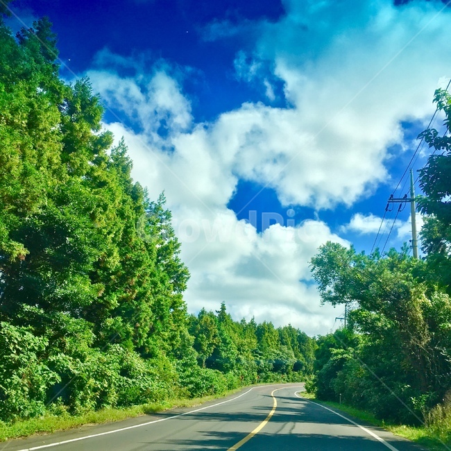 드라이브,drive,도로,경치,나무,tree,road,roadway,하늘,sky,구름,cloud,맑음,sunny,clear,자연,풍경,nature,landscape,freeway,고속 도로,highway,고속도로,asphalt,아스팔트