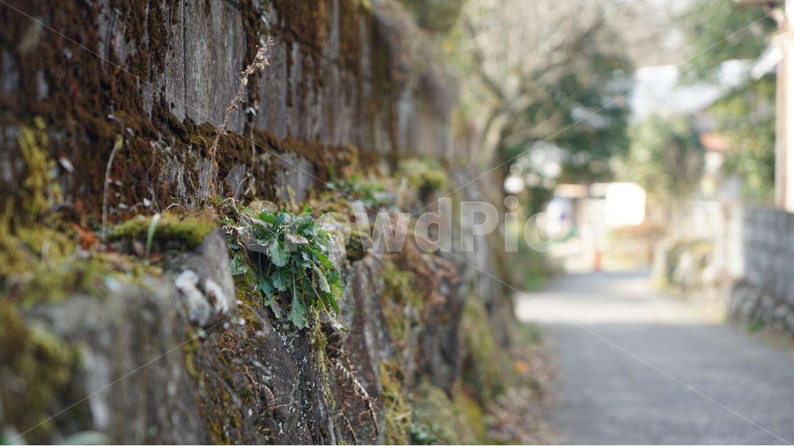 Yufuin back road,Japan travel,japan,quiet,back street