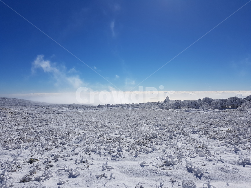 제주,겨울,한라산,눈꽃,눈,jeju,winter,hallamountain,snow,겨울,계절,winter,season