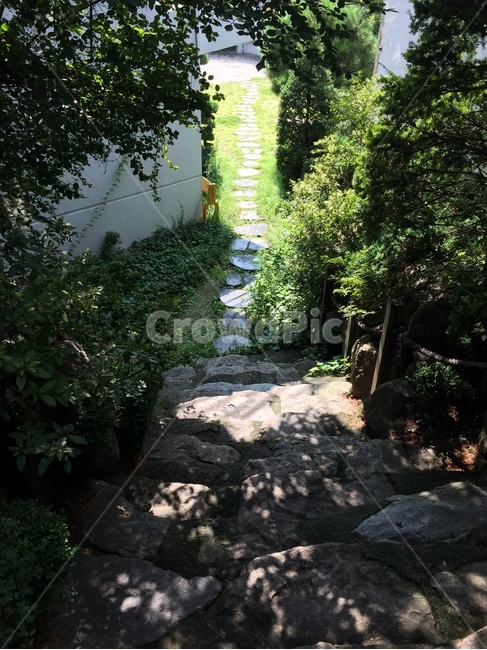 계단,자연,stairs,그림자,초록,햇빛,햇살,sunshine,shadow,나무,식물,green