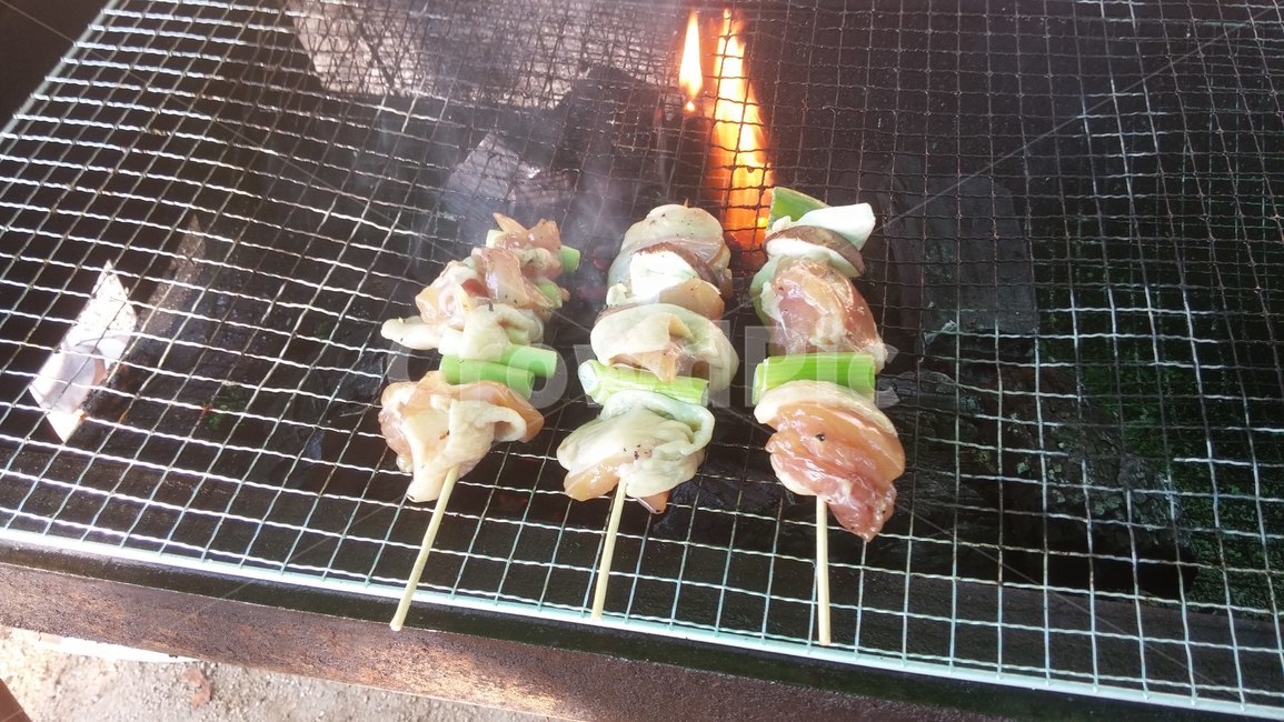 숯불,구이,꼬치,화로,불,숯,바베큐,닭꼬치