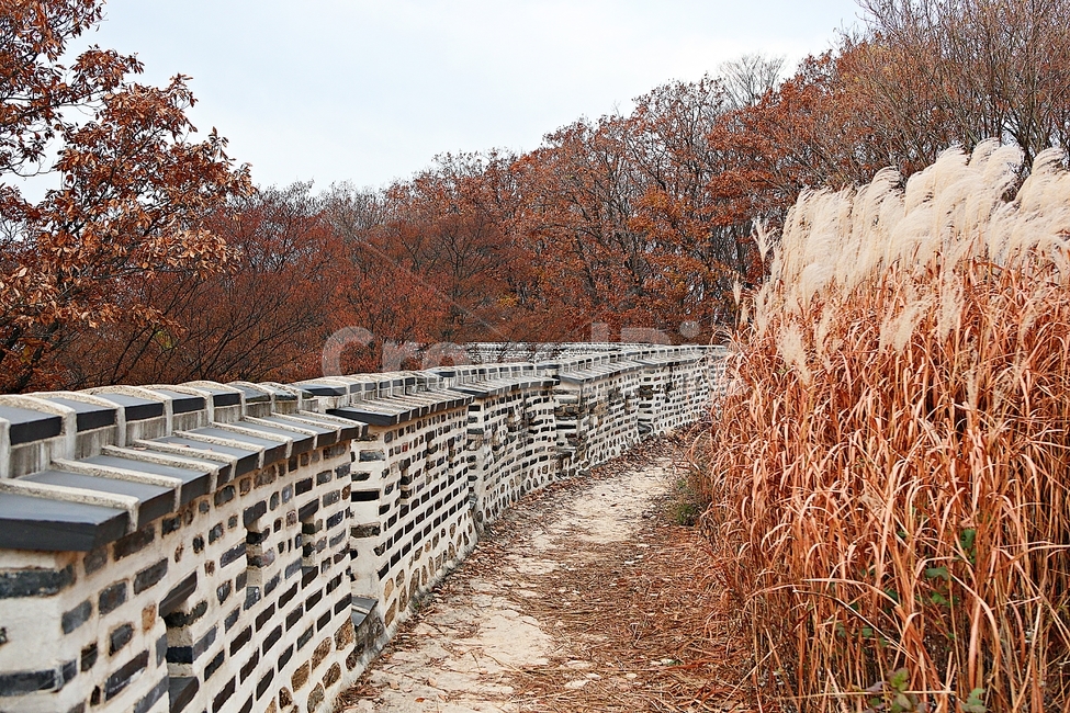 남한산성,성,성곽,단풍,낙엽,길,둘레길,숲,숲길,담돌담,가을,자연,풍경,벽,울긋불긋,산성,식물,가을,계절,fall,autumn,season