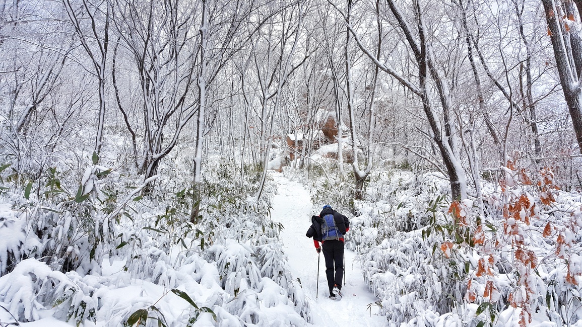 속리산,겨울,눈,설산,눈꽃,상고대,눈꽃풍경,겨울풍경,국립공원,자연,계절,산행,흰눈,눈길,힐링,눈산행,등산,나무,식물,산,풍경,snow,landscape,winter,wood,plants,mountain