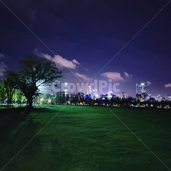 공원,저녁,밤,야간,하늘,잔디,구름,야경,밤,풍경,nightscape,night,landscape,도시,city,plant,식물,grass,outdoors,옥외