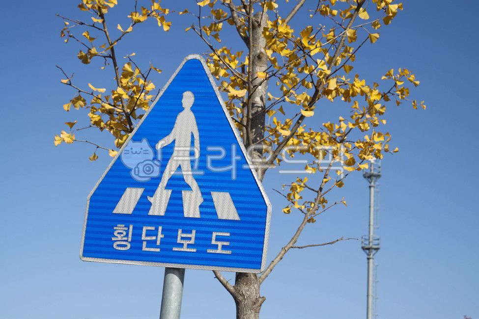 information board,crosswalk sign,road sign,sign,guide