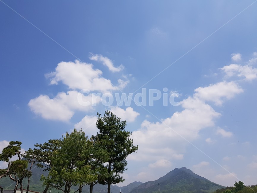 하늘,구름,맑은,자연,풍경