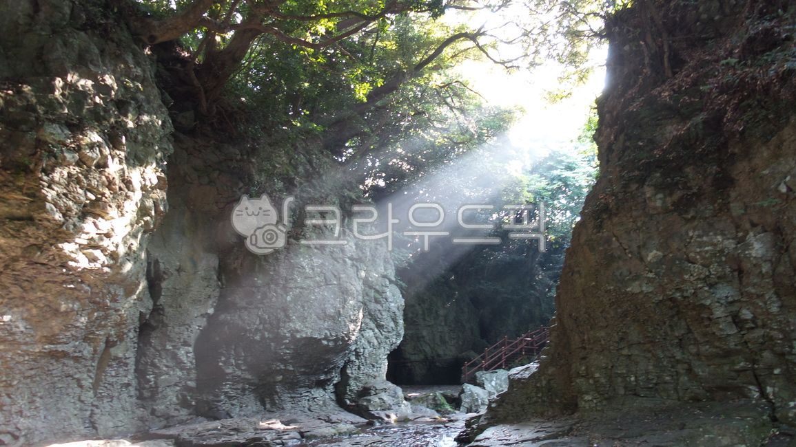 제주도,제주,서귀포,쇠소깎,제주도쇠소깍,햇빛,빛,sunlight,jeju